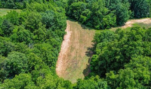 Photo #7 of Blanch, Blanch, NC 27.7 acres