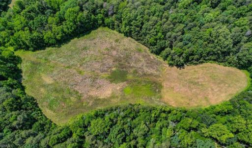 Photo #14 of Blanch, Blanch, NC 27.7 acres