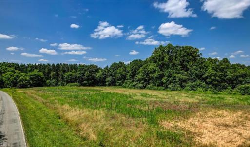 Photo #4 of Blanch, Blanch, NC 27.7 acres