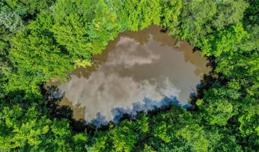 Photo #8 of Blanch, Blanch, NC 27.7 acres