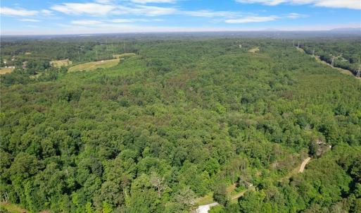 Photo #6 of Davis, Walkertown, NC 67.6 acres