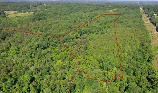 Photo #3 of Davis, Walkertown, NC 67.6 acres