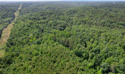 Photo #7 of Davis, Walkertown, NC 67.6 acres