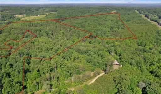 Photo #1 of Davis, Walkertown, NC 67.6 acres