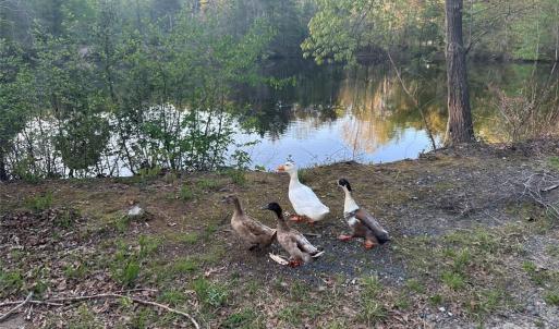 Photo #2 of 11155 US Highway 52, Rockwell, NC 5.8 acres
