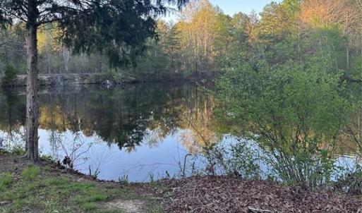 Photo #3 of 11155 US Highway 52, Rockwell, NC 5.8 acres