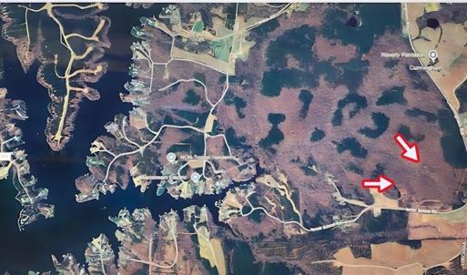 Photo #2 of TBD Terrell School, Semora, NC 54.2 acres