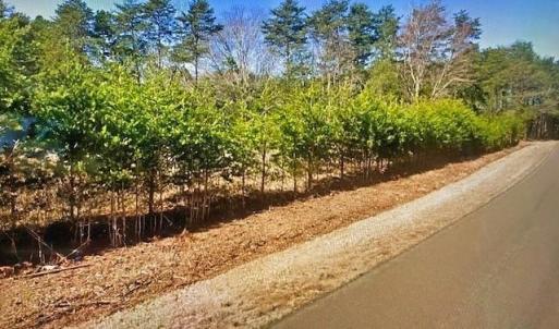 Photo #6 of TBD Terrell School, Semora, NC 54.2 acres
