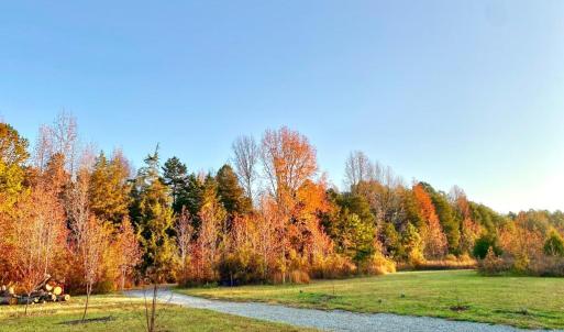 Photo #6 of Hoover Hill, Trinity, NC 32.9 acres