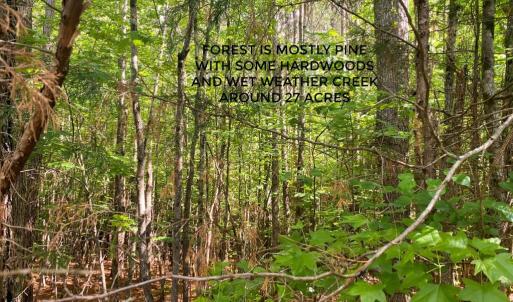 Photo #13 of Hoover Hill, Trinity, NC 32.9 acres
