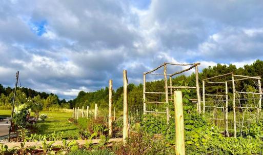 Photo #16 of Hoover Hill, Trinity, NC 32.9 acres