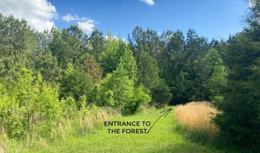 Photo #12 of Hoover Hill, Trinity, NC 32.9 acres