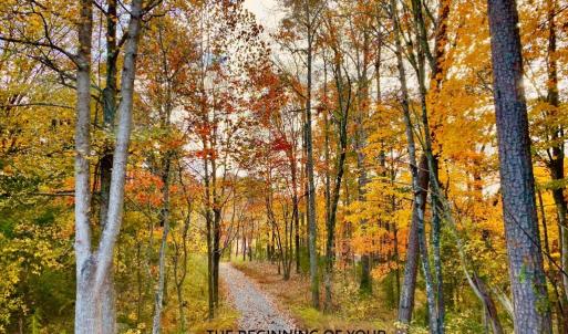 Photo #7 of Hoover Hill, Trinity, NC 32.9 acres