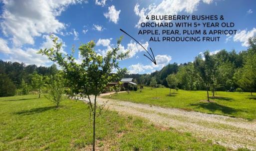 Photo #10 of Hoover Hill, Trinity, NC 32.9 acres