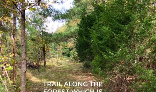 Photo #11 of Hoover Hill, Trinity, NC 32.9 acres