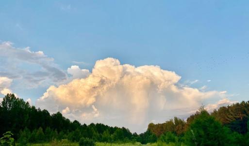 Photo #4 of Hoover Hill, Trinity, NC 32.9 acres