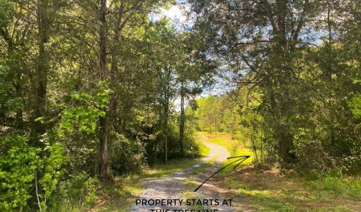 Photo #8 of Hoover Hill, Trinity, NC 32.9 acres