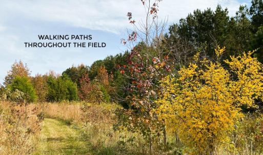 Photo #36 of Hoover Hill, Trinity, NC 32.9 acres