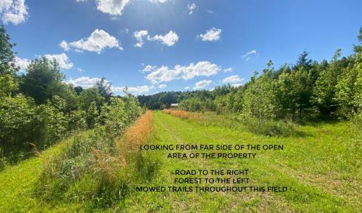 Photo #32 of Hoover Hill, Trinity, NC 32.9 acres