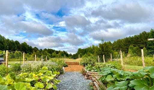 Photo #15 of Hoover Hill, Trinity, NC 32.9 acres