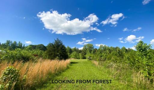 Photo #35 of Hoover Hill, Trinity, NC 32.9 acres