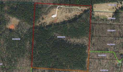 Photo #29 of Hoover Hill, Trinity, NC 32.9 acres