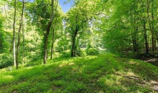 Photo #13 of 6910 Long Meadow, Whitsett, NC 20.6 acres