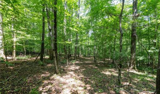 Photo #3 of 6910 Long Meadow, Whitsett, NC 20.6 acres