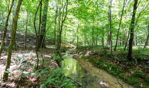 Photo #9 of 6910 Long Meadow, Whitsett, NC 20.6 acres