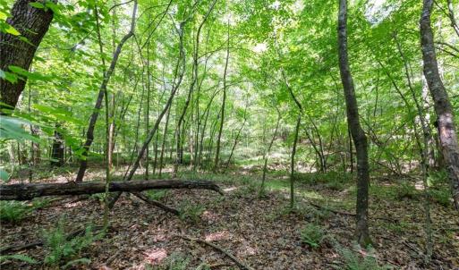 Photo #4 of 6910 Long Meadow, Whitsett, NC 20.6 acres