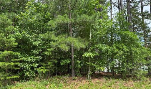 Photo #7 of 1053 Inlet Pointe, Salisbury, NC 0.9 acres