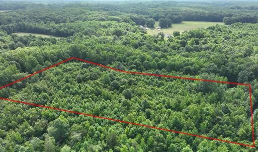 Photo #1 of Waddells Ferry, Seagrove, NC 6.6 acres