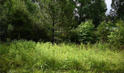 Photo #28 of Waddells Ferry, Seagrove, NC 6.6 acres