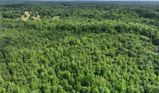 Photo #9 of Waddells Ferry, Seagrove, NC 6.6 acres