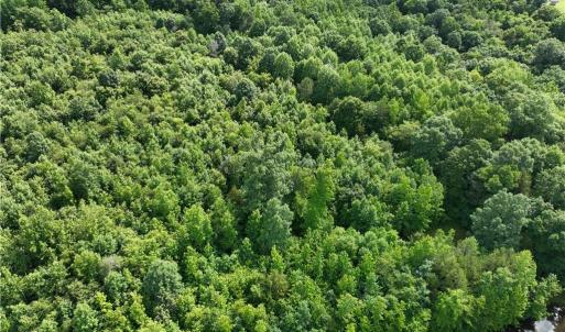 Photo #10 of Waddells Ferry, Seagrove, NC 6.6 acres