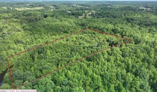 Photo #4 of Waddells Ferry, Seagrove, NC 6.6 acres