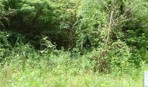 Photo #25 of Waddells Ferry, Seagrove, NC 6.6 acres