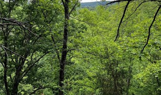 Photo #6 of MARSHALL RIDGE, Pinnacle, NC 99.0 acres