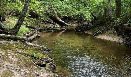 Photo #5 of MARSHALL RIDGE, Pinnacle, NC 99.0 acres
