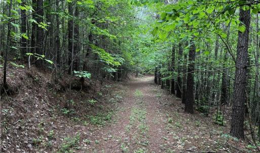 Photo #4 of MARSHALL RIDGE, Pinnacle, NC 99.0 acres