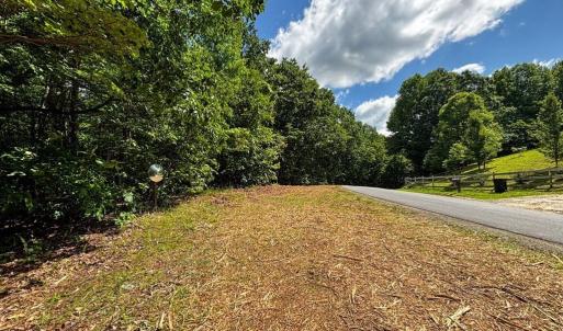 Photo #17 of Bear Trail, Cana, VA 11.0 acres