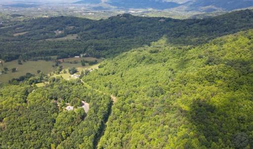 Photo #7 of Bear Trail, Cana, VA 11.0 acres