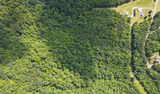 Photo #10 of Bear Trail, Cana, VA 11.0 acres