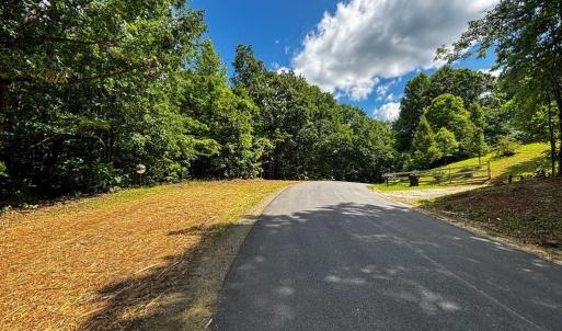 Photo #18 of Bear Trail, Cana, VA 11.0 acres