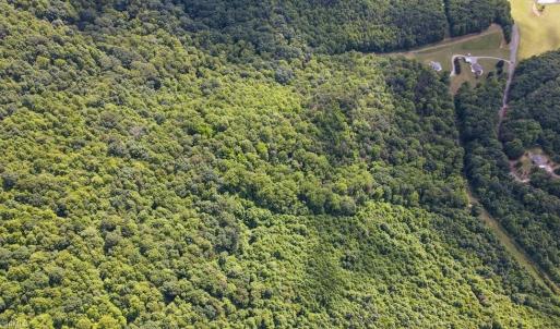 Photo #11 of Bear Trail, Cana, VA 11.0 acres