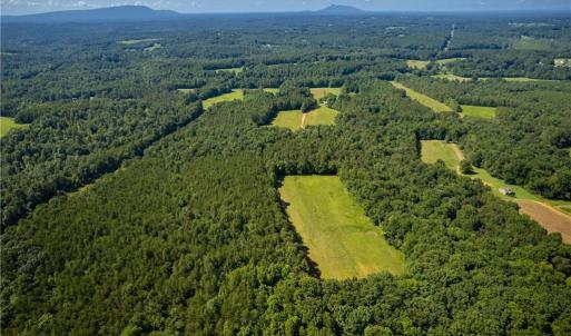 Photo #6 of 1135 Daisy Creek Farm, Westfield, NC 57.6 acres
