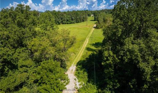 Photo #13 of 1135 Daisy Creek Farm, Westfield, NC 57.6 acres