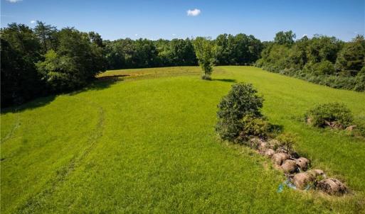 Photo #16 of 1135 Daisy Creek Farm, Westfield, NC 57.6 acres