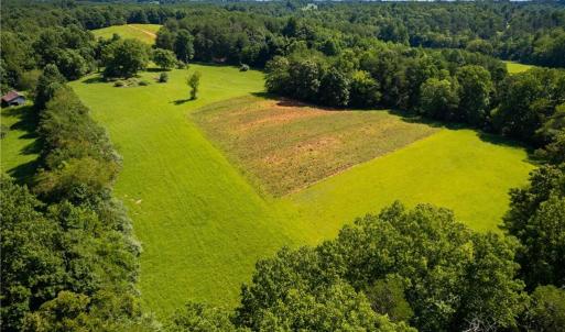 Photo #12 of 1135 Daisy Creek Farm, Westfield, NC 57.6 acres