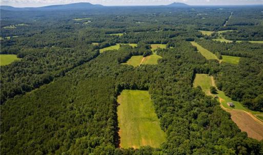 Photo #22 of 1135 Daisy Creek Farm, Westfield, NC 57.6 acres